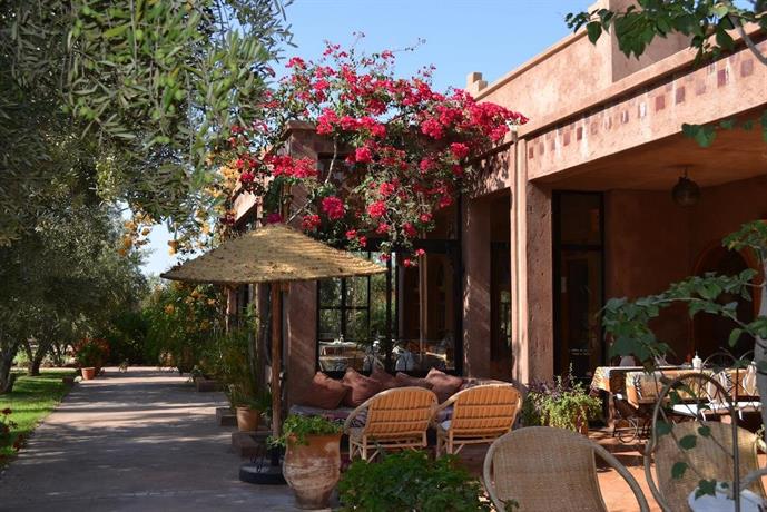 Marrakech - Stages tous niveaux