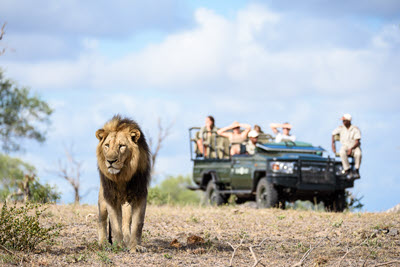 Golfs & découverte - Afrique du Sud grand format