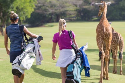 Golfs & découverte - Kenya